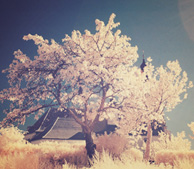 独一无二且富有创意的催收来电